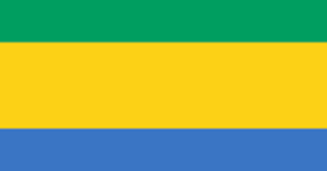 Shipping cargo from UAE to Gabon