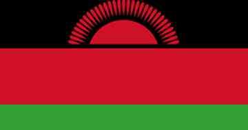 Shipping cargo from UAE to Malawi